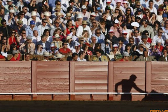 RNPS IMAGES OF THE YEAR 2009 - The shadow of Spanish bullfighter Daniel Luque is cast onto the barrier as he performs a pass to a bull during a bullfight in The Maestranza bullring in Seville April 29, 2009. REUTERS/Marcelo del Pozo (SPAIN ANIMALS SOCIETY)
