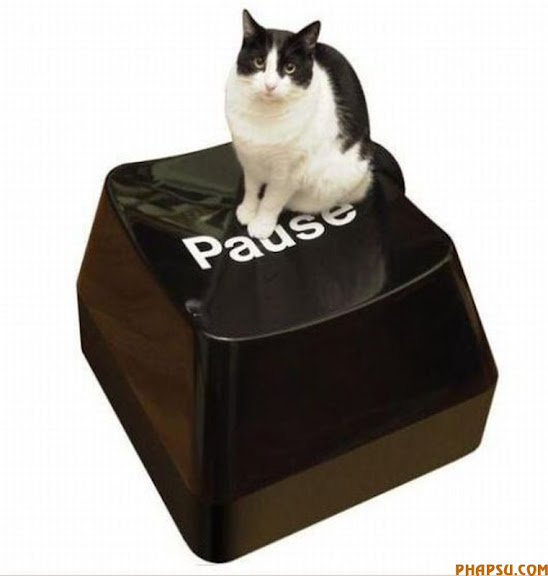  Hé lộ cuộc sống bí ẩn của Keyboard