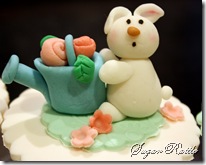 IMG_7472 IMG_7472