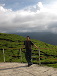 Tea Garden (PTPN VI Solok)