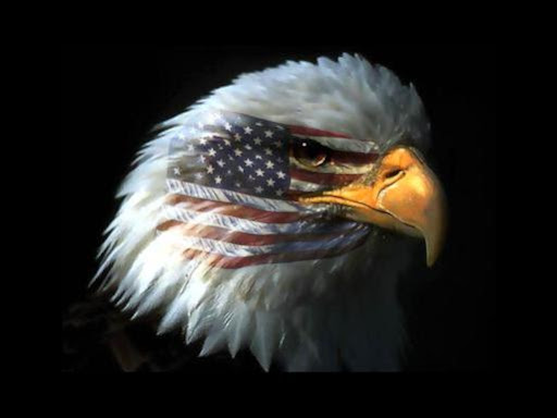 http://lh4.ggpht.com/_n29_cd0lVTo/SlOI8-01ODI/AAAAAAAAE3o/bHEHUf4Iz-c/AguilaUSAEagle.jpg