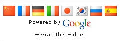 [google-translate-mini-flags-single[3].jpg]