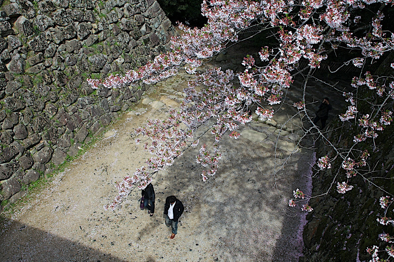 日本旅遊part2