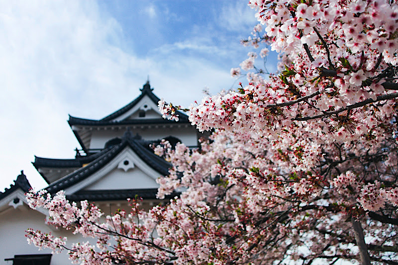 日本旅遊part2