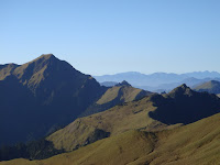 DSC08426.JPG