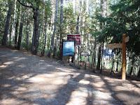 DSC00248 (2).JPG