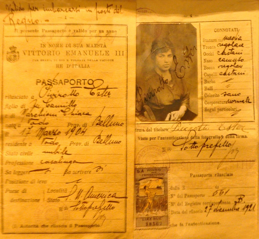 [Immigrant Passport-Sheva Apelbaum.jpg]