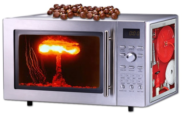 [Microwave on Fire-Sheva Apelbaum.jpg]