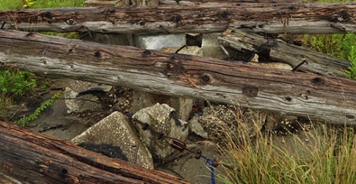 Cables and Pilings-Sheva Apelbaum