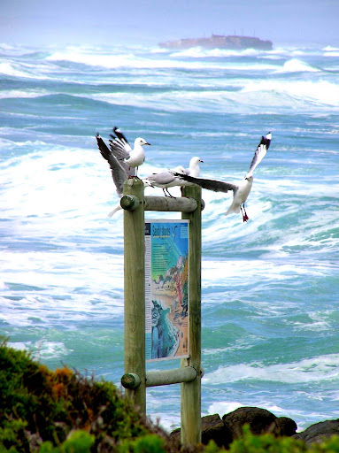 mykonos off beat langebaan