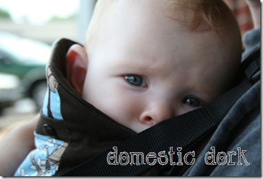 Beco babywearing baby carrier Lucy daddy Beco babywearing baby carrier Lucy daddy
