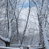 snow storm 10