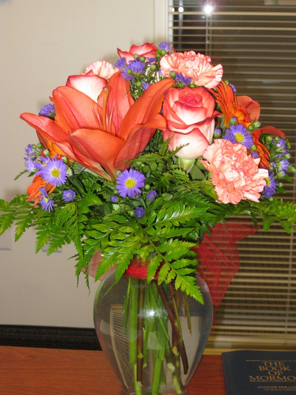 [Brandon Univ Flowers 002[2].jpg]