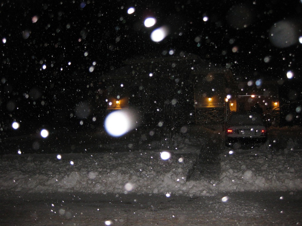 [Snowy Winter Day 027[3].jpg]