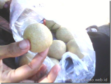 Tahu Bulat