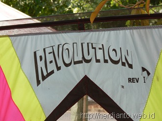 revolutions kite