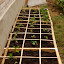 new2gar's 1st box garden