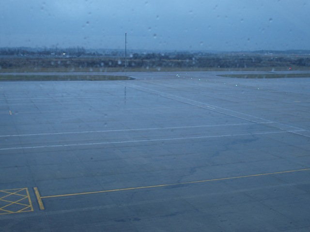 [P1120455[2].jpg]