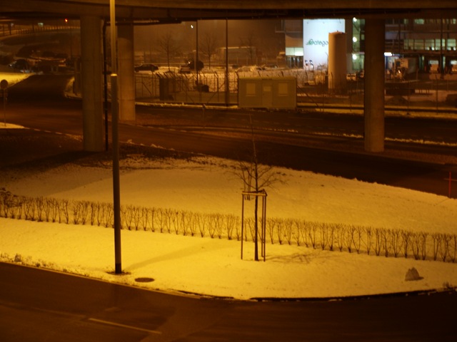 [P1120462[2].jpg]