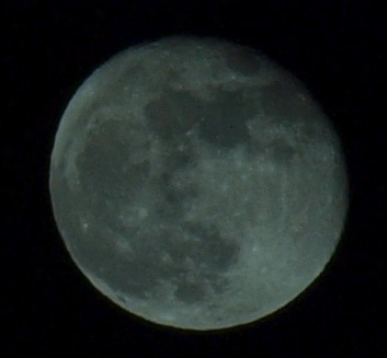 [P1120490[3].jpg]