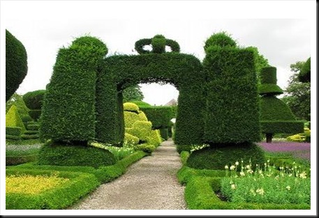 levens hall topiary 2