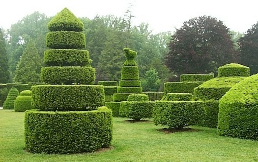 [topiary (1)[5].jpg]