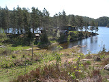 DSCN1582.JPG