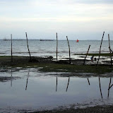 Tubigon - Philippines