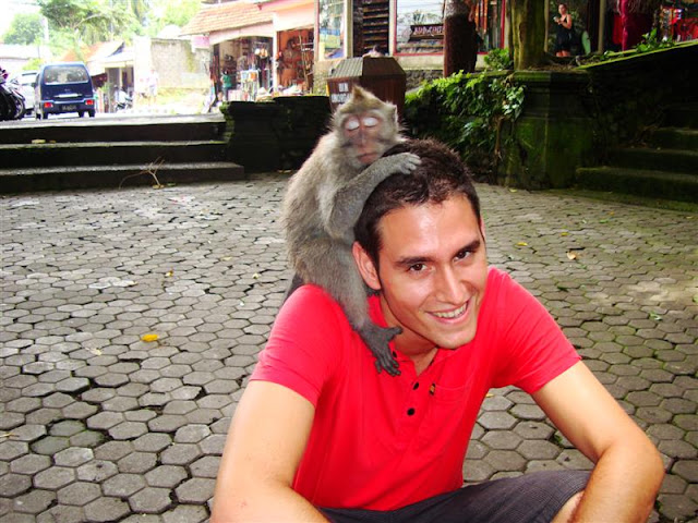 Haciendo amigos