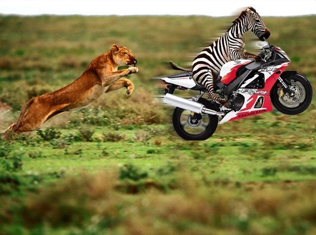 [bike3[2].jpg]
