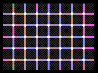 [black-white-dots-optical illusion[4].jpg]