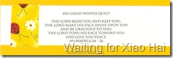 Wish33 Wish33