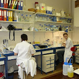 4_Laboratorium.JPG