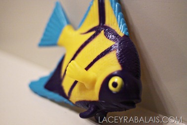 IMG_4453 IMG_4453