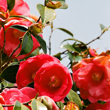 140_771346020003.JPG