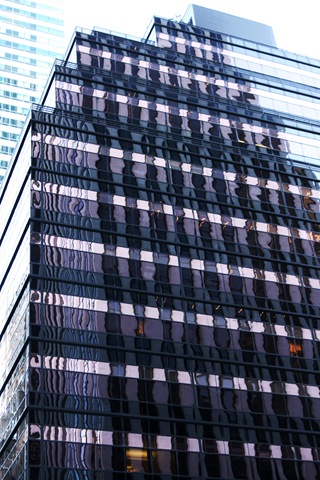 [nyc nov 08 047[4].jpg]