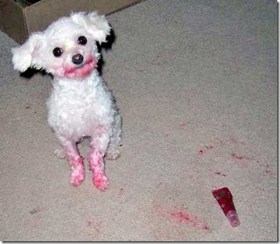 Lipstick