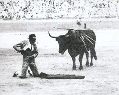 Alarde 001 Alarde 001