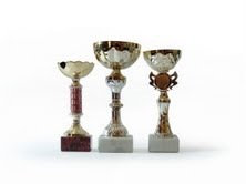 top-crossword-clues-2010 top-crossword-clues-2010