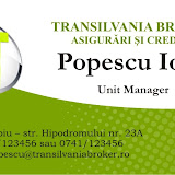 transilvania broker.jpg