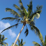 CIMG0104.JPG