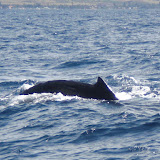 CIMG0101.JPG
