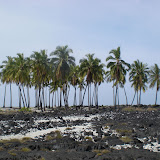 CIMG0229.JPG
