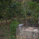 CIMG0276.JPG