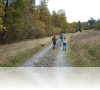 ardennen herfst 2009 036