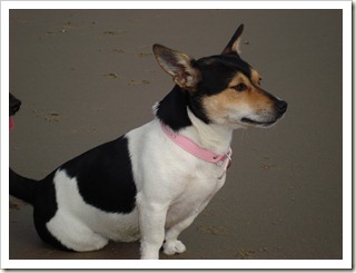 voetbal, strand 007