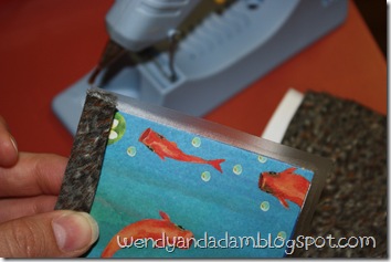 IMG_8385 IMG_8385