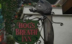 Hog's Breath