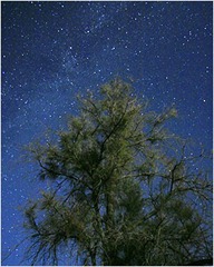 MoonlightMilkyWay%20(269x336) MoonlightMilkyWay%20(269x336)