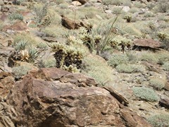 IMG_1059 IMG_1059
